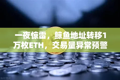 一夜惊雷,鲸鱼地址转移1万枚ETH,交易量异常预警背后的市场暗流