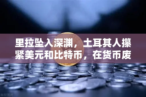 里拉坠入深渊,土耳其人攥紧美元和比特币,在货币废墟上寻找最后一根稻草