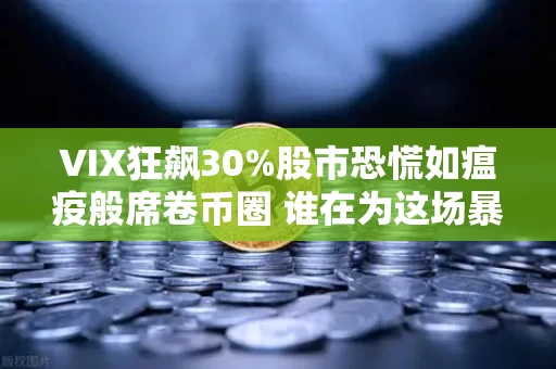 VIX狂飙30%股市恐慌如瘟疫般席卷币圈 谁在为这场暴跌买单?