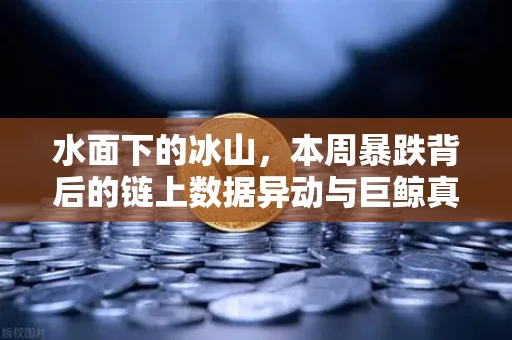 水面下的冰山,本周暴跌背后的链上数据异动与巨鲸真实动向