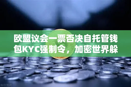 欧盟议会一票否决自托管钱包KYC强制令,加密世界躲过一劫