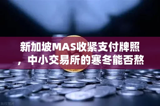 新加坡MAS收紧支付牌照，中小交易所的寒冬能否熬过