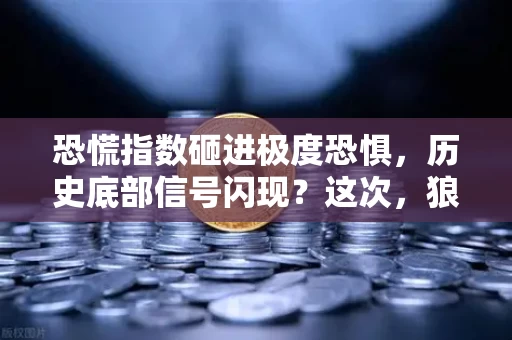 恐慌指数砸进极度恐惧,历史底部信号闪现?这次,狼真的来了吗?