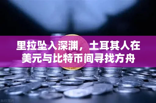 里拉坠入深渊,土耳其人在美元与比特币间寻找方舟