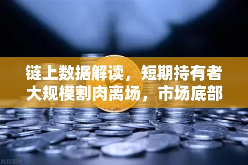 链上数据解读，短期持有者大规模割肉离场，市场底部信号还是恐慌蔓延？