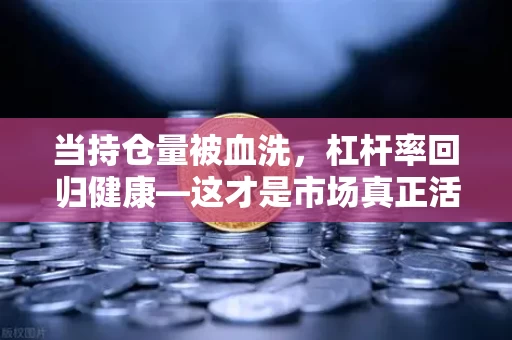 当持仓量被血洗，杠杆率回归健康—这才是市场真正活过来的信号