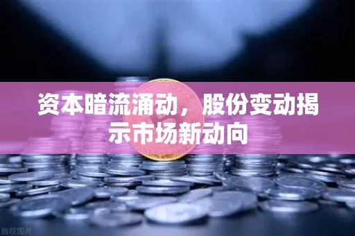 资本暗流涌动，股份变动揭示市场新动向