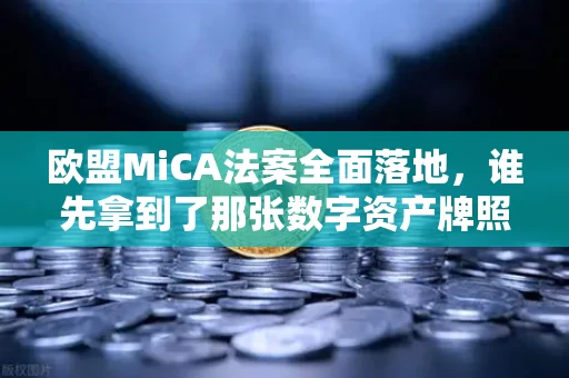 欧盟MiCA法案全面落地,谁先拿到了那张数字资产牌照?合规竞赛已经打响