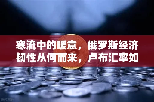 寒流中的暖意，俄罗斯经济韧性从何而来，卢布汇率如何在管制下稳住阵脚