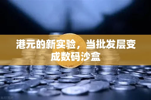港元的新实验,当批发层变成数码沙盒 港元的新实验,当批发层变成数码沙盒