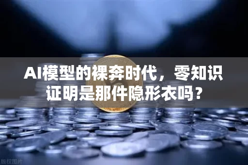 AI模型的裸奔时代,零知识证明是那件隐形衣吗?