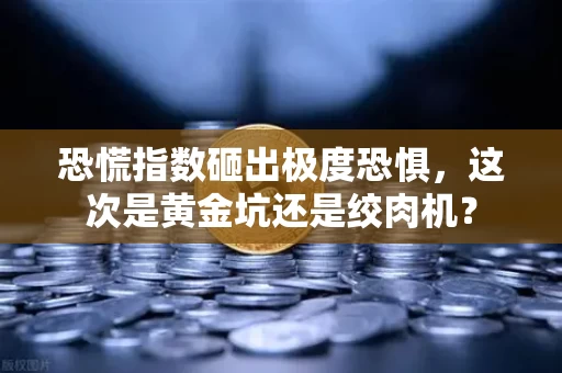 恐慌指数砸出极度恐惧，这次是黄金坑还是绞肉机？