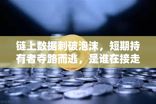 链上数据刺破泡沫,短期持有者夺路而逃,是谁在接走带血的筹码? 链上数据刺破泡沫,短期持有者夺路而逃,是谁在接走带血的筹码?