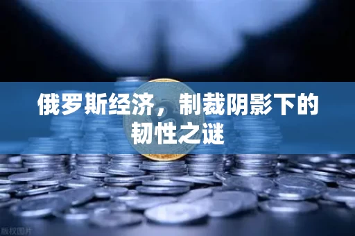 俄罗斯经济,制裁阴影下的韧性之谜 俄罗斯经济,制裁阴影下的韧性之谜