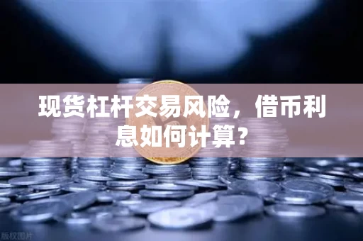 现货杠杆交易风险,借币利息如何计算?