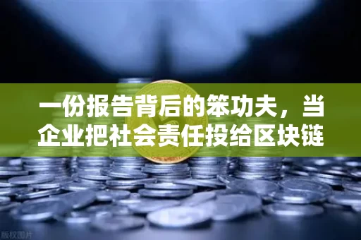 一份报告背后的笨功夫,当企业把社会责任投给区块链的无人区 一份报告背后的笨功夫,当企业把社会责任投给区块链的无人区