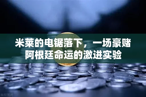米莱的电锯落下,一场豪赌阿根廷命运的激进实验