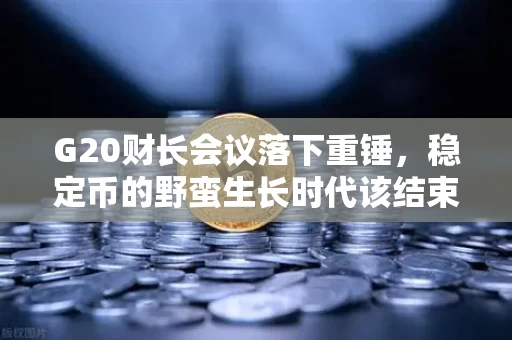 G20财长会议落下重锤,稳定币的野蛮生长时代该结束了 G20财长会议落下重锤,稳定币的野蛮生长时代该结束了
