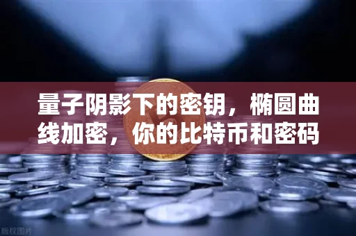 量子阴影下的密钥,椭圆曲线加密,你的比特币和密码还撑得住吗? 量子阴影下的密钥,椭圆曲线加密,你的比特币和密码还撑得住吗?