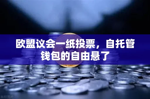 欧盟议会一纸投票,自托管钱包的自由悬了