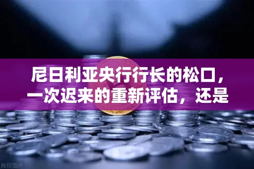尼日利亚央行行长的松口,一次迟来的重新评估,还是政策转向的序曲? 尼日利亚央行行长的松口,一次迟来的重新评估,还是政策转向的序曲?