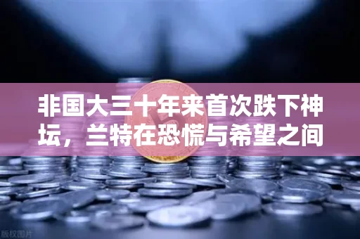非国大三十年来首次跌下神坛,兰特在恐慌与希望之间撕扯