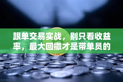 跟单交易实战,别只看收益率,最大回撤才是带单员的照妖镜