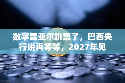 数字雷亚尔跳票了,巴西央行说再等等,2027年见 数字雷亚尔跳票了,巴西央行说再等等,2027年见