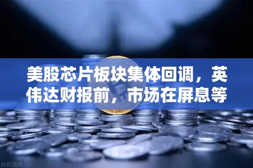 美股芯片板块集体回调,英伟达财报前,市场在屏息等待什么