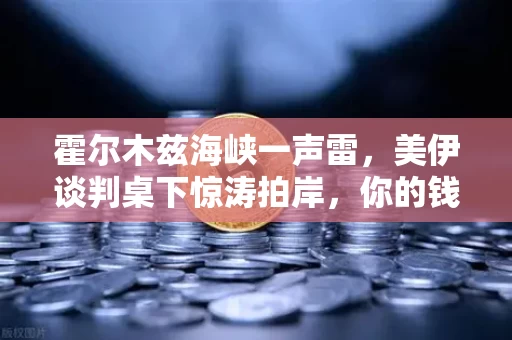 霍尔木兹海峡一声雷,美伊谈判桌下惊涛拍岸,你的钱该往哪躲?