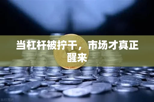 当杠杆被拧干,市场才真正醒来 当杠杆被拧干,市场才真正醒来