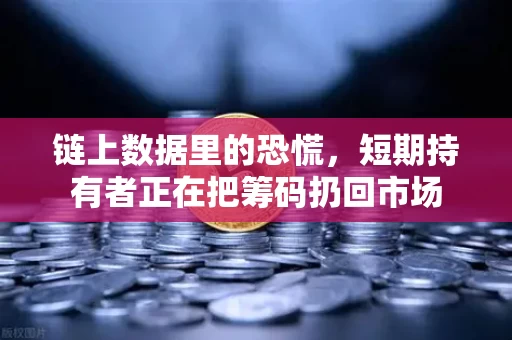 链上数据里的恐慌,短期持有者正在把筹码扔回市场