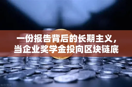 一份报告背后的长期主义,当企业奖学金投向区块链底层研究 一份报告背后的长期主义,当企业奖学金投向区块链底层研究