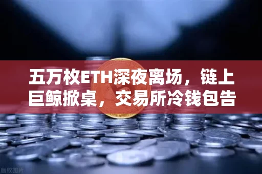 五万枚ETH深夜离场,链上巨鲸掀桌,交易所冷钱包告急警报拉响