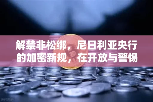 解禁非松绑,尼日利亚央行的加密新规,在开放与警惕间走钢丝