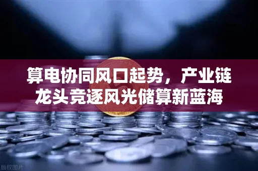 算电协同风口起势，产业链龙头竞逐风光储算新蓝海
